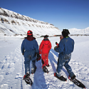people in snow